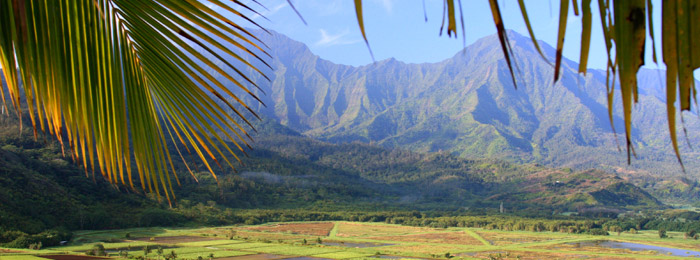 Hawaii Rundreise - Berge und Palmen Kauai Island